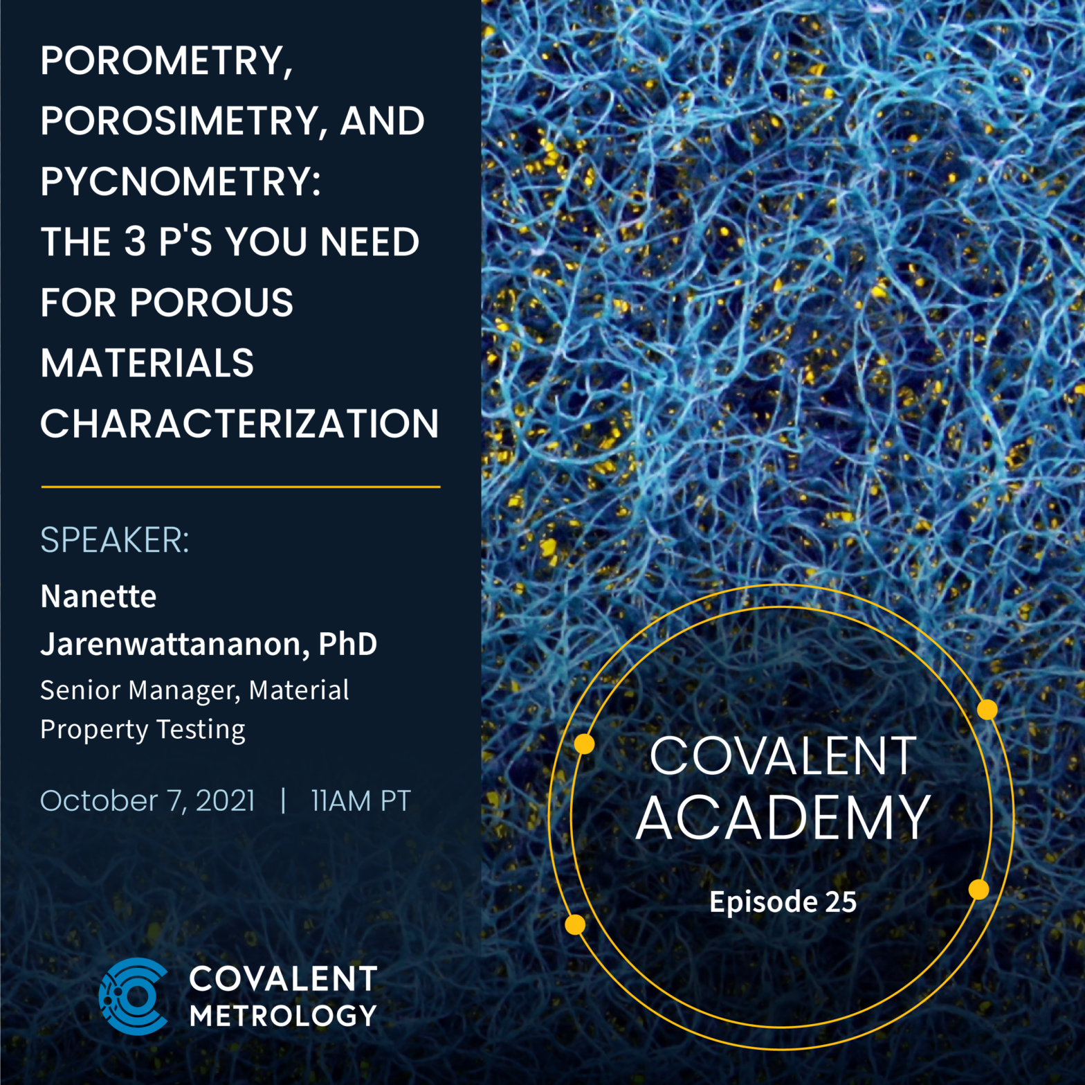 Porometry, Porosimetry, and Pycnometry Webinar