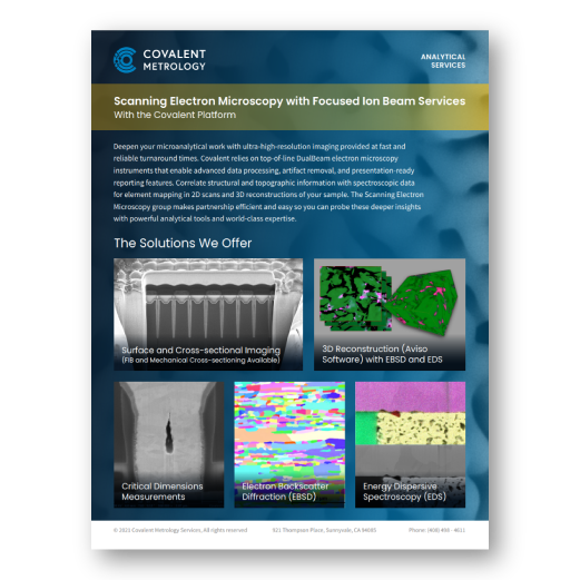 Scanning Electron Microscopy with Focused Ion Beam Services