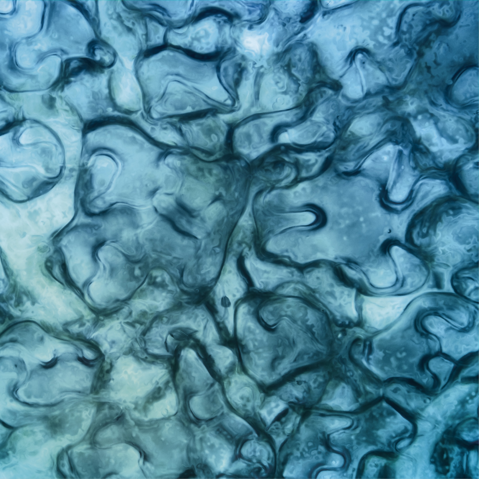 Microscopy & Imaging