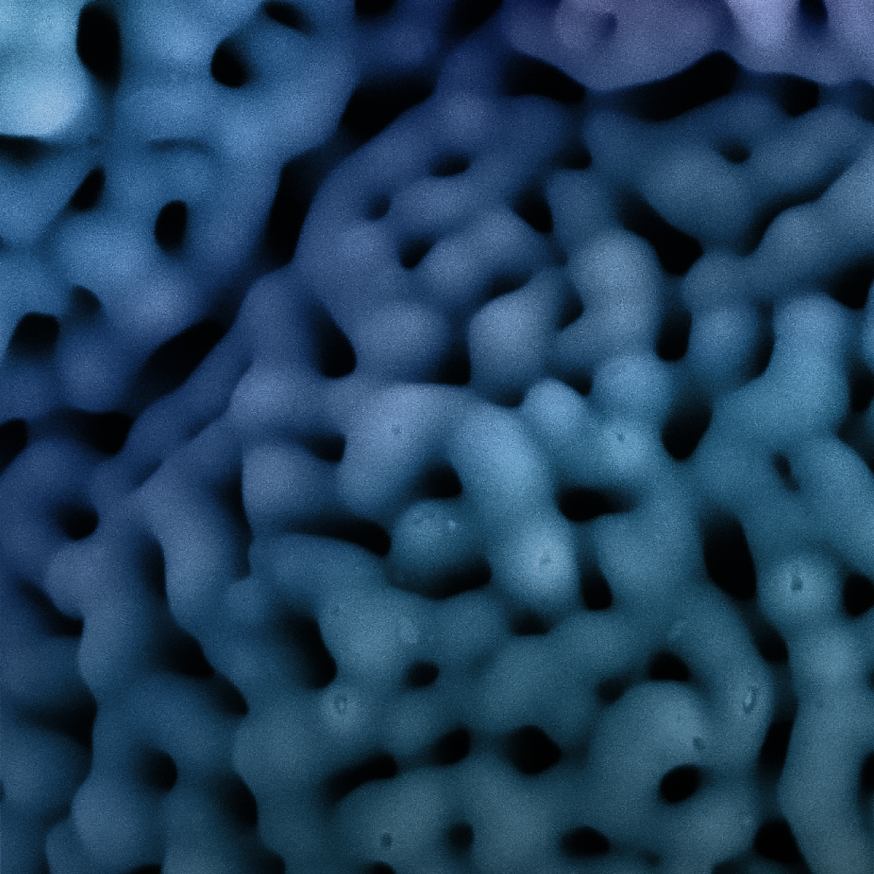 Gain Confidence in Scanning Electron Microscope (SEM) Optimization & Analysis