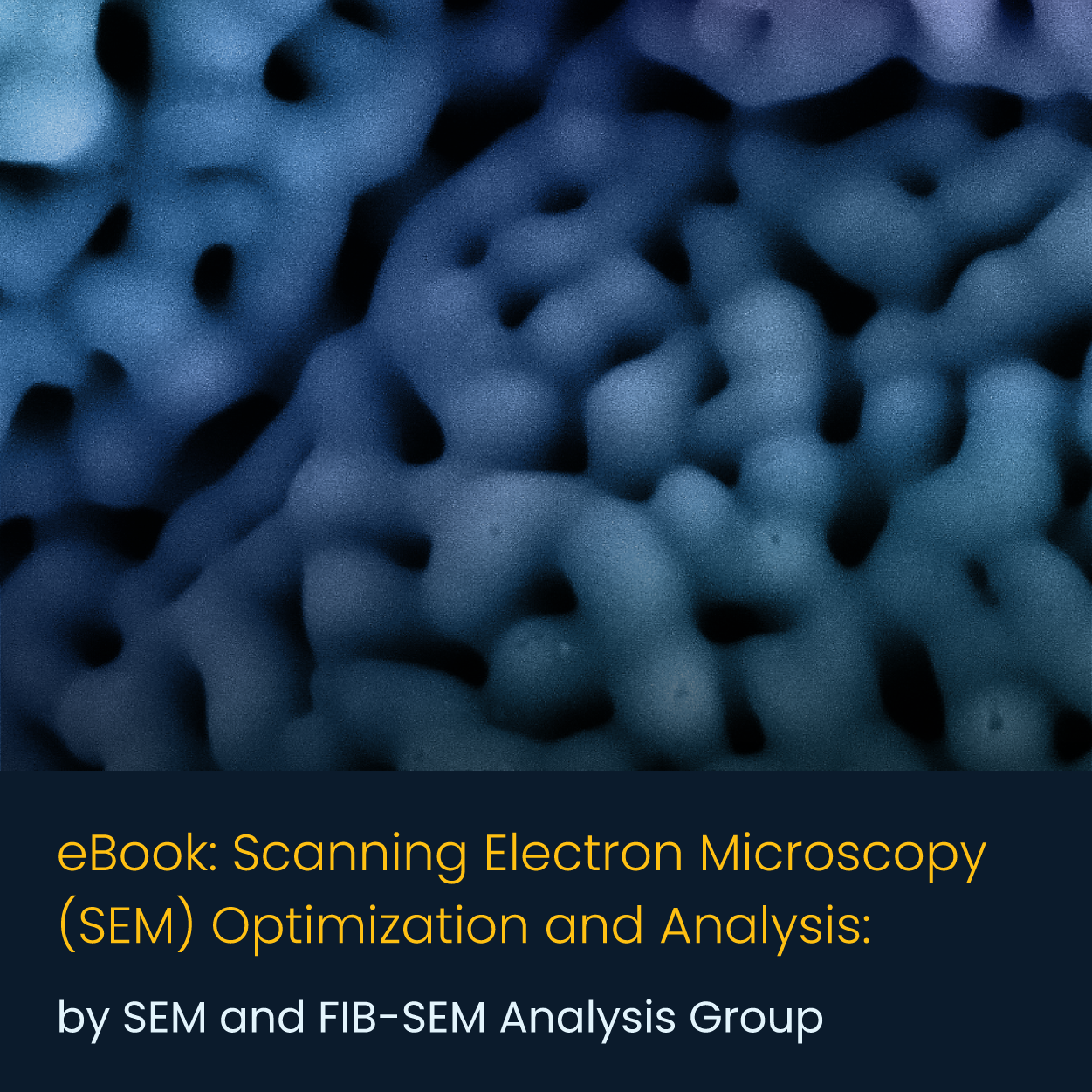Scanning Electron Microscope (SEM) Optimization & Analysis