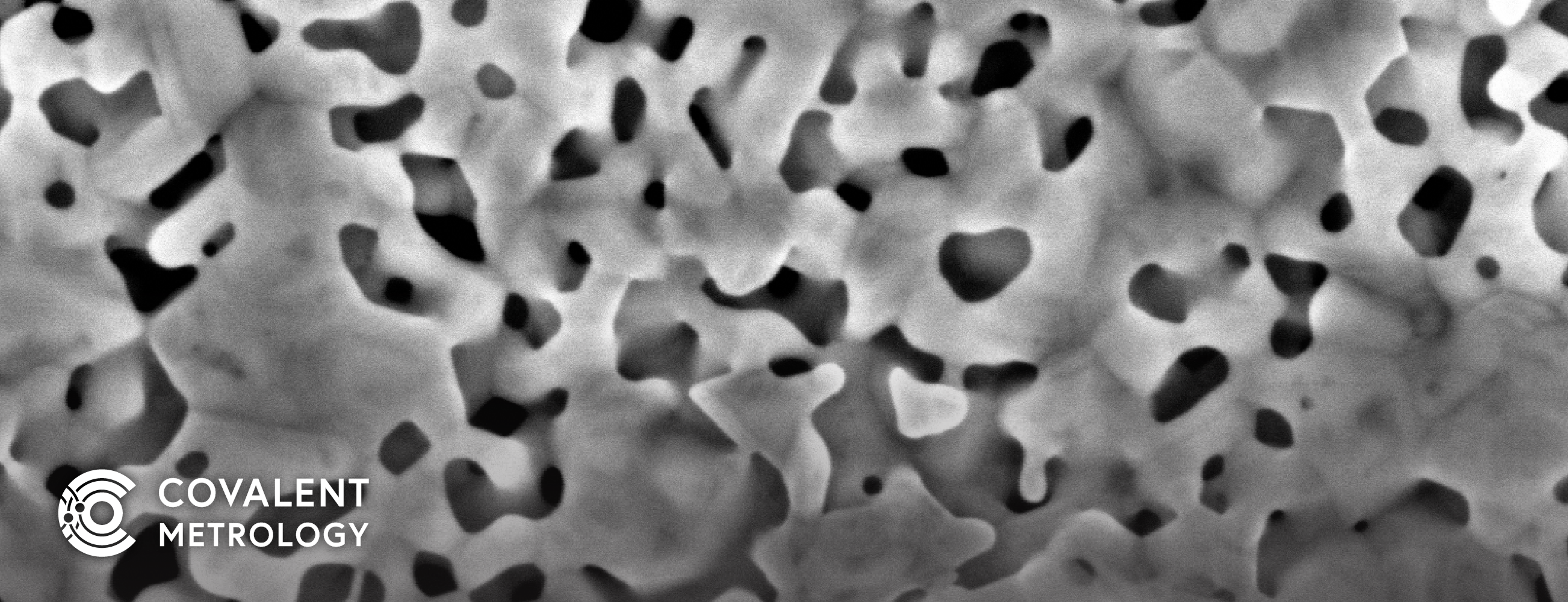 Covalent Metrology Expands its Electron Microscopy Capabilities