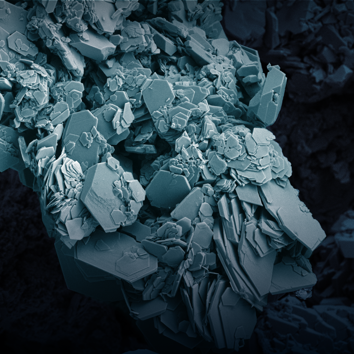 Electron and Ion Beam Imaging with DualBeam Focused Ion Beam Scanning Electron Microscopes